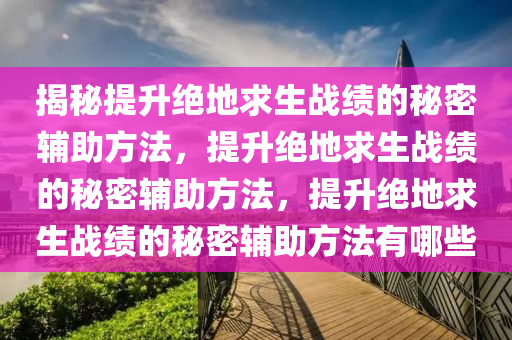 揭秘提升绝地求生战绩的秘密辅助方法，提升绝地求生战绩的秘密辅助方法，提升绝地求生战绩的秘密辅助方法有哪些