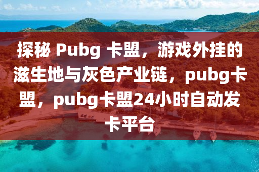 探秘 Pubg 卡盟，游戏外挂的滋生地与灰色产业链，pubg卡盟，pubg卡盟24小时自动发卡平台