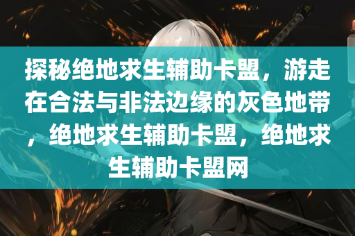 探秘绝地求生辅助卡盟，游走在合法与非法边缘的灰色地带，绝地求生辅助卡盟，绝地求生辅助卡盟网