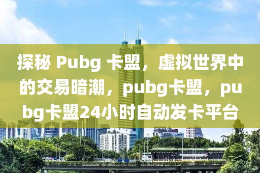 探秘 Pubg 卡盟，虚拟世界中的交易暗潮，pubg卡盟，pubg卡盟24小时自动发卡平台