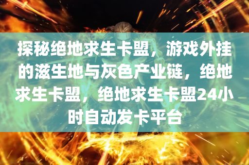 探秘绝地求生卡盟，游戏外挂的滋生地与灰色产业链，绝地求生卡盟，绝地求生卡盟24小时自动发卡平台