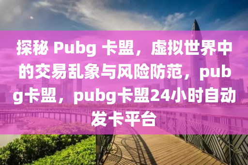 探秘 Pubg 卡盟，虚拟世界中的交易乱象与风险防范，pubg卡盟，pubg卡盟24小时自动发卡平台