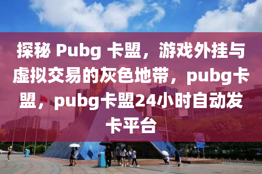 探秘 Pubg 卡盟，游戏外挂与虚拟交易的灰色地带，pubg卡盟，pubg卡盟24小时自动发卡平台