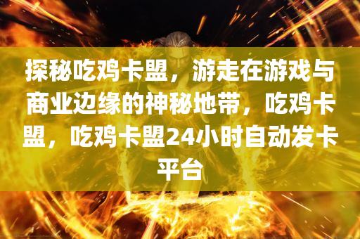 探秘吃鸡卡盟，游走在游戏与商业边缘的神秘地带，吃鸡卡盟，吃鸡卡盟24小时自动发卡平台