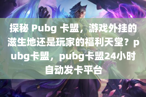 探秘 Pubg 卡盟，游戏外挂的滋生地还是玩家的福利天堂？pubg卡盟，pubg卡盟24小时自动发卡平台