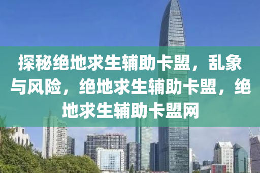 探秘绝地求生辅助卡盟，乱象与风险，绝地求生辅助卡盟，绝地求生辅助卡盟网