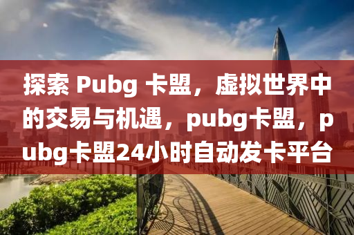 探索 Pubg 卡盟，虚拟世界中的交易与机遇，pubg卡盟，pubg卡盟24小时自动发卡平台