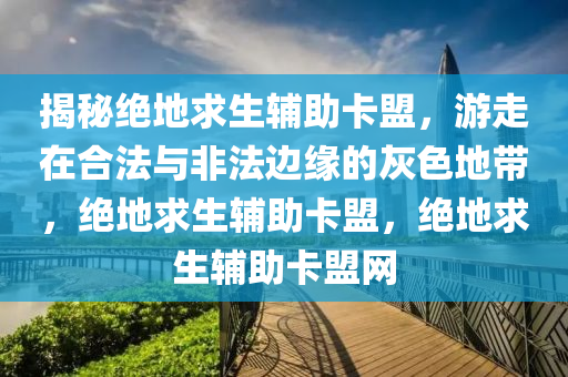 揭秘绝地求生辅助卡盟，游走在合法与非法边缘的灰色地带，绝地求生辅助卡盟，绝地求生辅助卡盟网