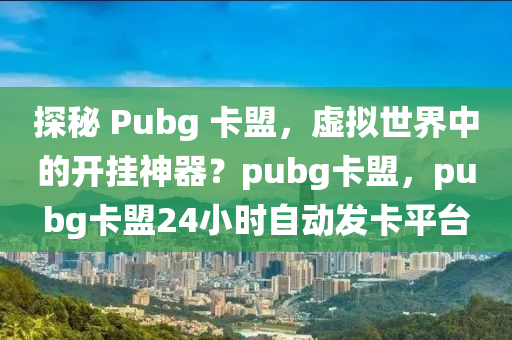 探秘 Pubg 卡盟，虚拟世界中的开挂神器？pubg卡盟，pubg卡盟24小时自动发卡平台