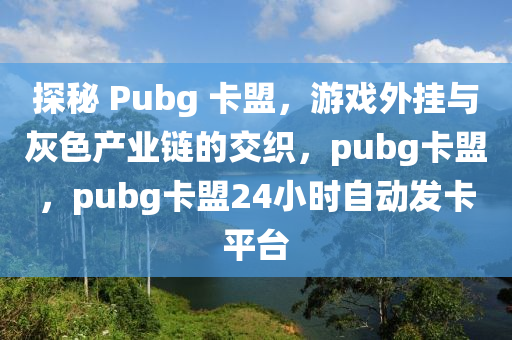 探秘 Pubg 卡盟，游戏外挂与灰色产业链的交织，pubg卡盟，pubg卡盟24小时自动发卡平台