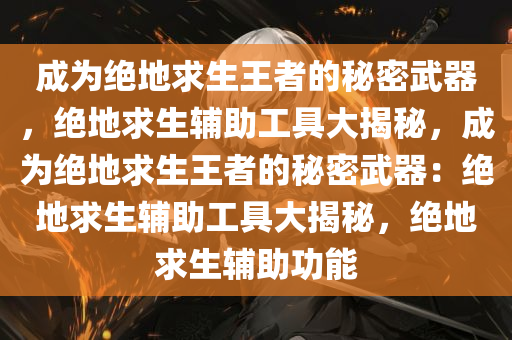 成为绝地求生王者的秘密武器，绝地求生辅助工具大揭秘，成为绝地求生王者的秘密武器：绝地求生辅助工具大揭秘，绝地求生辅助功能