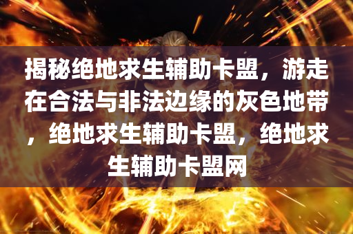 揭秘绝地求生辅助卡盟，游走在合法与非法边缘的灰色地带，绝地求生辅助卡盟，绝地求生辅助卡盟网