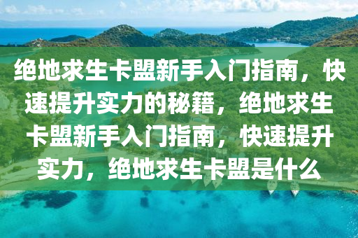 绝地求生卡盟新手入门指南，快速提升实力的秘籍，绝地求生卡盟新手入门指南，快速提升实力，绝地求生卡盟是什么