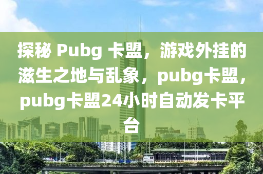 探秘 Pubg 卡盟，游戏外挂的滋生之地与乱象，pubg卡盟，pubg卡盟24小时自动发卡平台