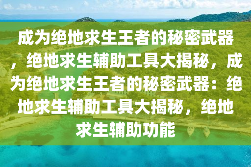 成为绝地求生王者的秘密武器，绝地求生辅助工具大揭秘，成为绝地求生王者的秘密武器：绝地求生辅助工具大揭秘，绝地求生辅助功能