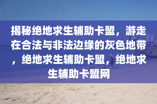 揭秘绝地求生辅助卡盟，游走在合法与非法边缘的灰色地带，绝地求生辅助卡盟，绝地求生辅助卡盟网