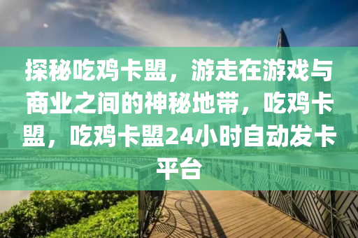 探秘吃鸡卡盟，游走在游戏与商业之间的神秘地带，吃鸡卡盟，吃鸡卡盟24小时自动发卡平台