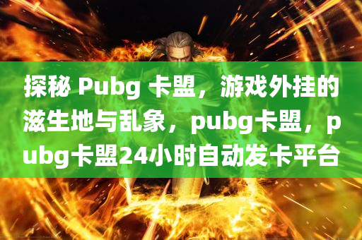 探秘 Pubg 卡盟，游戏外挂的滋生地与乱象，pubg卡盟，pubg卡盟24小时自动发卡平台