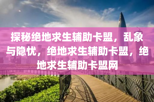 探秘绝地求生辅助卡盟，乱象与隐忧，绝地求生辅助卡盟，绝地求生辅助卡盟网