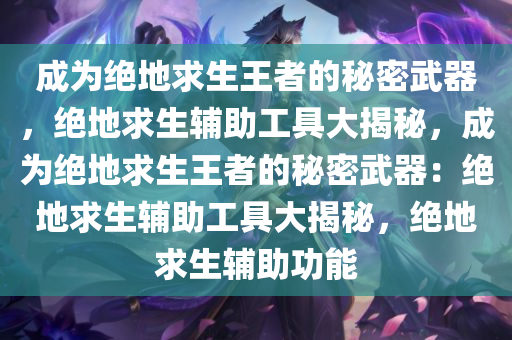 成为绝地求生王者的秘密武器，绝地求生辅助工具大揭秘，成为绝地求生王者的秘密武器：绝地求生辅助工具大揭秘，绝地求生辅助功能