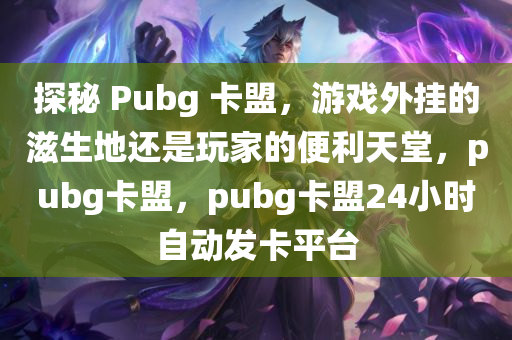 探秘 Pubg 卡盟，游戏外挂的滋生地还是玩家的便利天堂，pubg卡盟，pubg卡盟24小时自动发卡平台