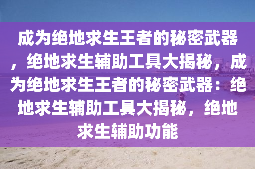 成为绝地求生王者的秘密武器，绝地求生辅助工具大揭秘，成为绝地求生王者的秘密武器：绝地求生辅助工具大揭秘，绝地求生辅助功能