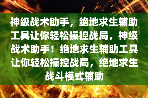 神级战术助手，绝地求生辅助工具让你轻松操控战局，神级战术助手！绝地求生辅助工具让你轻松操控战局，绝地求生战斗模式辅助