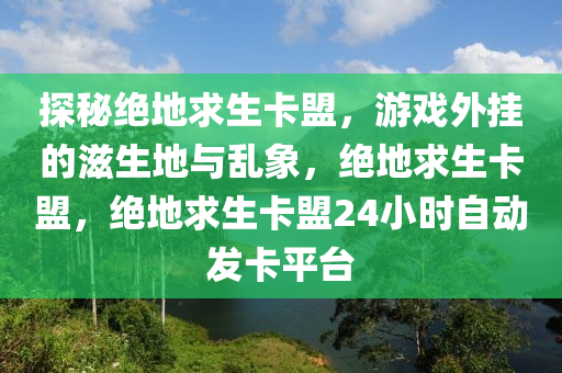 探秘绝地求生卡盟，游戏外挂的滋生地与乱象，绝地求生卡盟，绝地求生卡盟24小时自动发卡平台