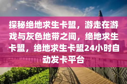 探秘绝地求生卡盟，游走在游戏与灰色地带之间，绝地求生卡盟，绝地求生卡盟24小时自动发卡平台