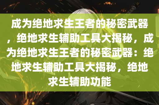 成为绝地求生王者的秘密武器，绝地求生辅助工具大揭秘，成为绝地求生王者的秘密武器：绝地求生辅助工具大揭秘，绝地求生辅助功能