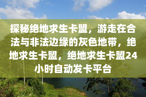 探秘绝地求生卡盟，游走在合法与非法边缘的灰色地带，绝地求生卡盟，绝地求生卡盟24小时自动发卡平台