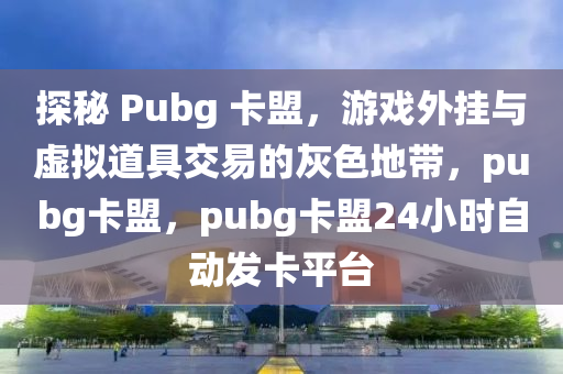 探秘 Pubg 卡盟，游戏外挂与虚拟道具交易的灰色地带，pubg卡盟，pubg卡盟24小时自动发卡平台