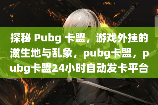 探秘 Pubg 卡盟，游戏外挂的滋生地与乱象，pubg卡盟，pubg卡盟24小时自动发卡平台