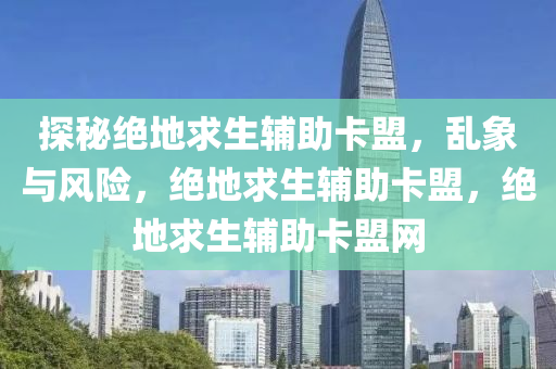 探秘绝地求生辅助卡盟，乱象与风险，绝地求生辅助卡盟，绝地求生辅助卡盟网