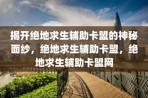 揭开绝地求生辅助卡盟的神秘面纱，绝地求生辅助卡盟，绝地求生辅助卡盟网