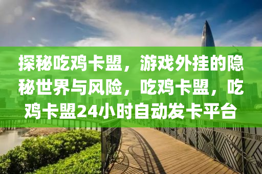 探秘吃鸡卡盟，游戏外挂的隐秘世界与风险，吃鸡卡盟，吃鸡卡盟24小时自动发卡平台