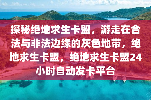 探秘绝地求生卡盟，游走在合法与非法边缘的灰色地带，绝地求生卡盟，绝地求生卡盟24小时自动发卡平台