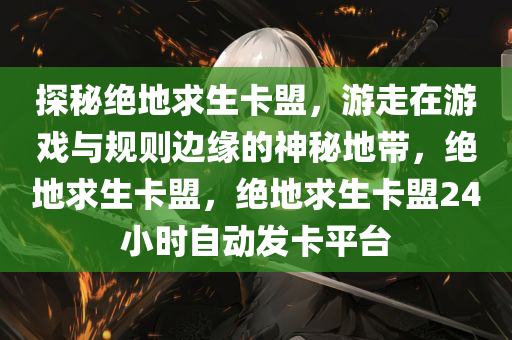 探秘绝地求生卡盟，游走在游戏与规则边缘的神秘地带，绝地求生卡盟，绝地求生卡盟24小时自动发卡平台