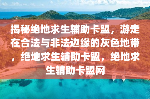 揭秘绝地求生辅助卡盟，游走在合法与非法边缘的灰色地带，绝地求生辅助卡盟，绝地求生辅助卡盟网