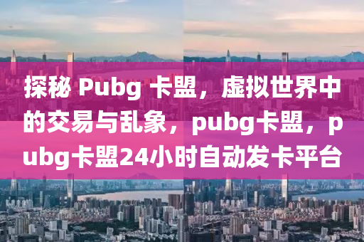 探秘 Pubg 卡盟，虚拟世界中的交易与乱象，pubg卡盟，pubg卡盟24小时自动发卡平台