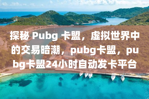 探秘 Pubg 卡盟，虚拟世界中的交易暗潮，pubg卡盟，pubg卡盟24小时自动发卡平台