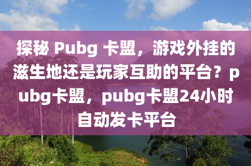 探秘 Pubg 卡盟，游戏外挂的滋生地还是玩家互助的平台？pubg卡盟，pubg卡盟24小时自动发卡平台