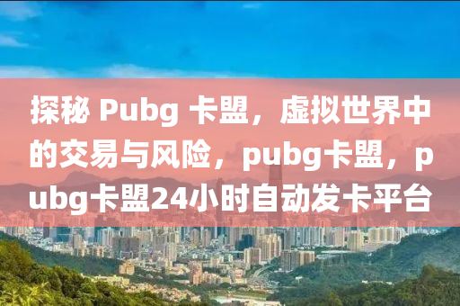 探秘 Pubg 卡盟，虚拟世界中的交易与风险，pubg卡盟，pubg卡盟24小时自动发卡平台