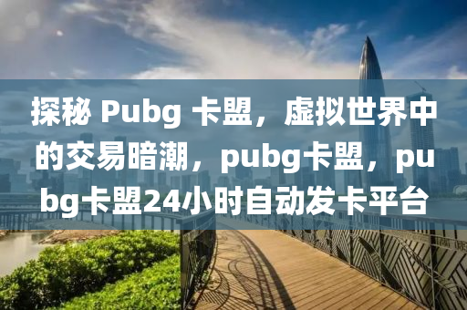 探秘 Pubg 卡盟，虚拟世界中的交易暗潮，pubg卡盟，pubg卡盟24小时自动发卡平台