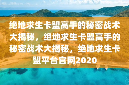 绝地求生卡盟高手的秘密战术大揭秘，绝地求生卡盟高手的秘密战术大揭秘，绝地求生卡盟平台官网2020