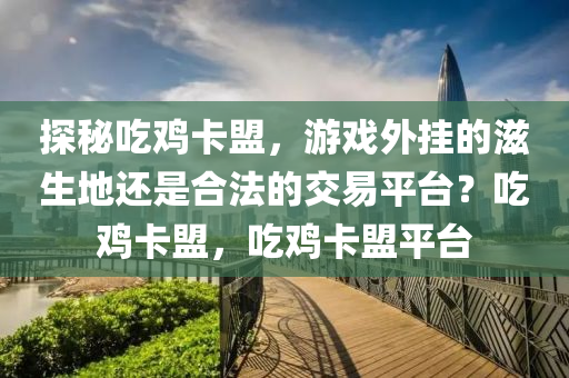 探秘吃鸡卡盟，游戏外挂的滋生地还是合法的交易平台？吃鸡卡盟，吃鸡卡盟平台