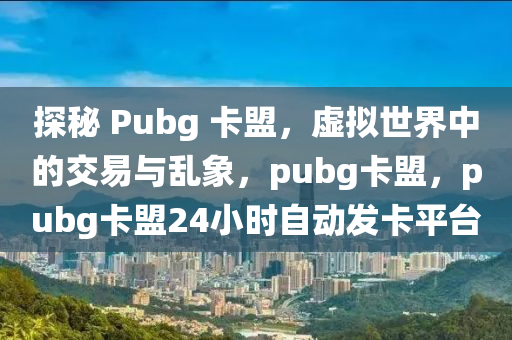 探秘 Pubg 卡盟，虚拟世界中的交易与乱象，pubg卡盟，pubg卡盟24小时自动发卡平台