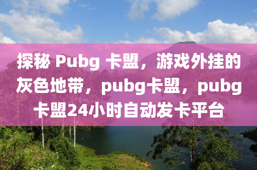 探秘 Pubg 卡盟，游戏外挂的灰色地带，pubg卡盟，pubg卡盟24小时自动发卡平台