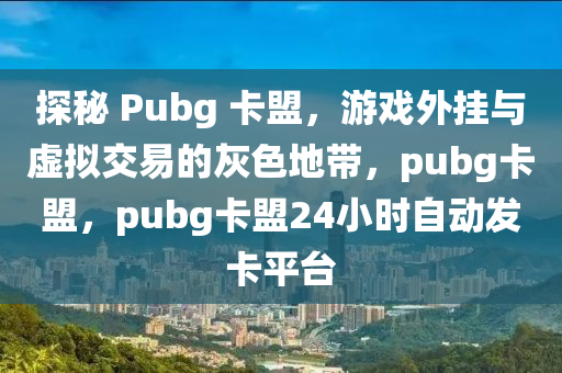 探秘 Pubg 卡盟，游戏外挂与虚拟交易的灰色地带，pubg卡盟，pubg卡盟24小时自动发卡平台