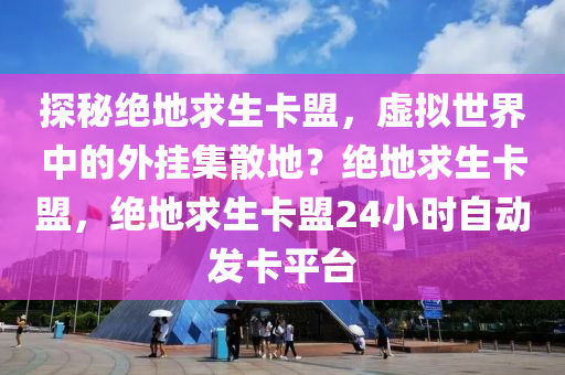 探秘绝地求生卡盟，虚拟世界中的外挂集散地？绝地求生卡盟，绝地求生卡盟24小时自动发卡平台